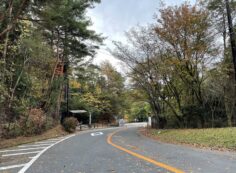 バス通り・八天の森バス停風景