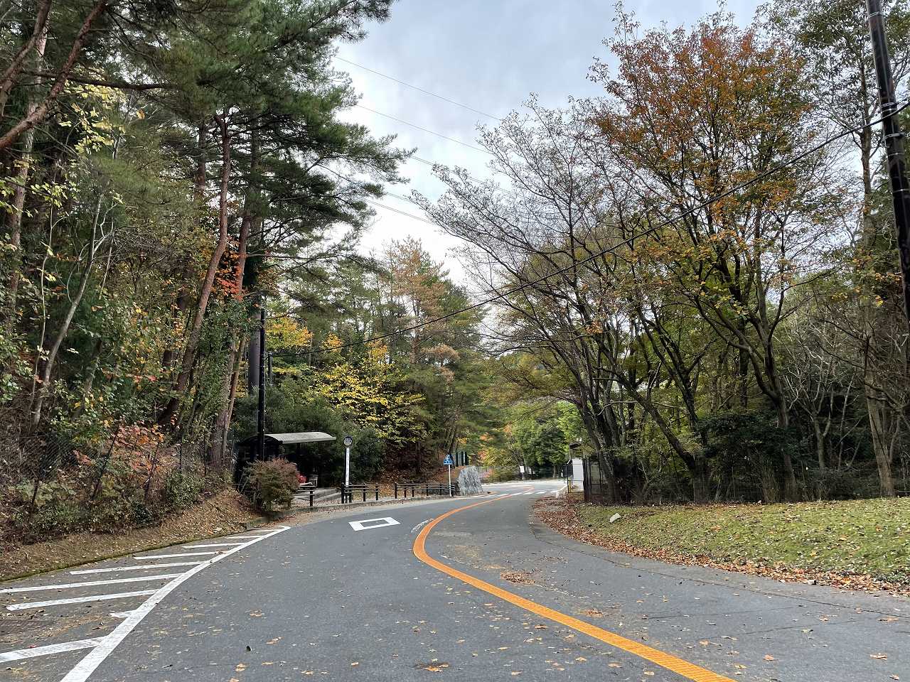 バス通り・八天の森バス停風景