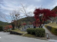 バス通り5区1番墓所風景