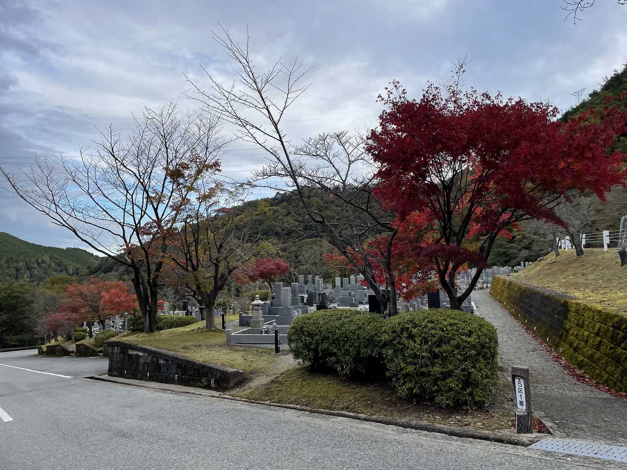 バス通り5区1番墓所風景