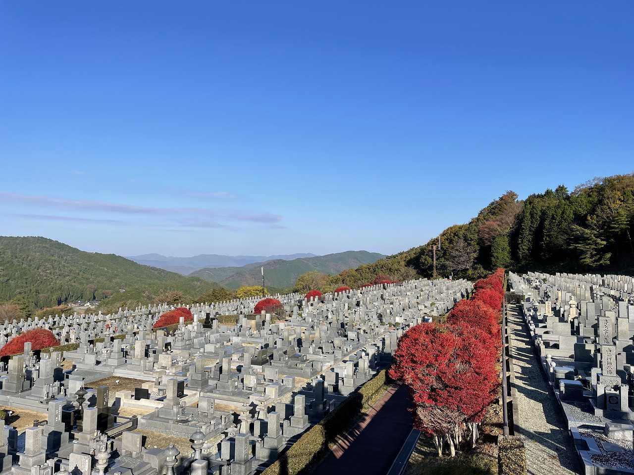 11区7番墓所から（北向き）風景