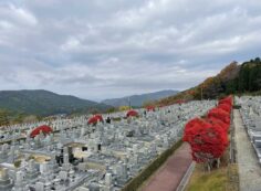 11区7番墓所から（北向き）風景