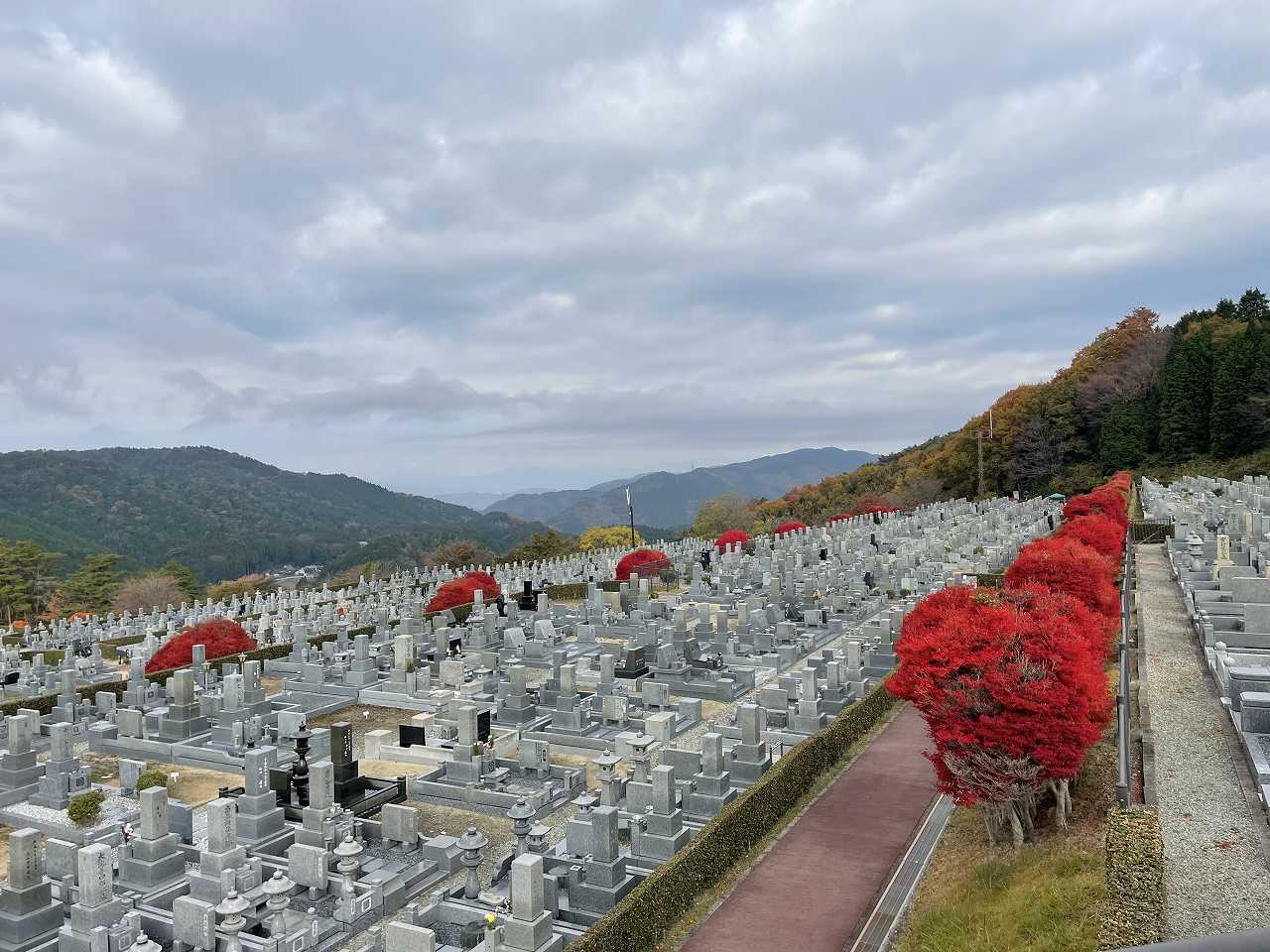 11区7番墓所から（北向き）風景