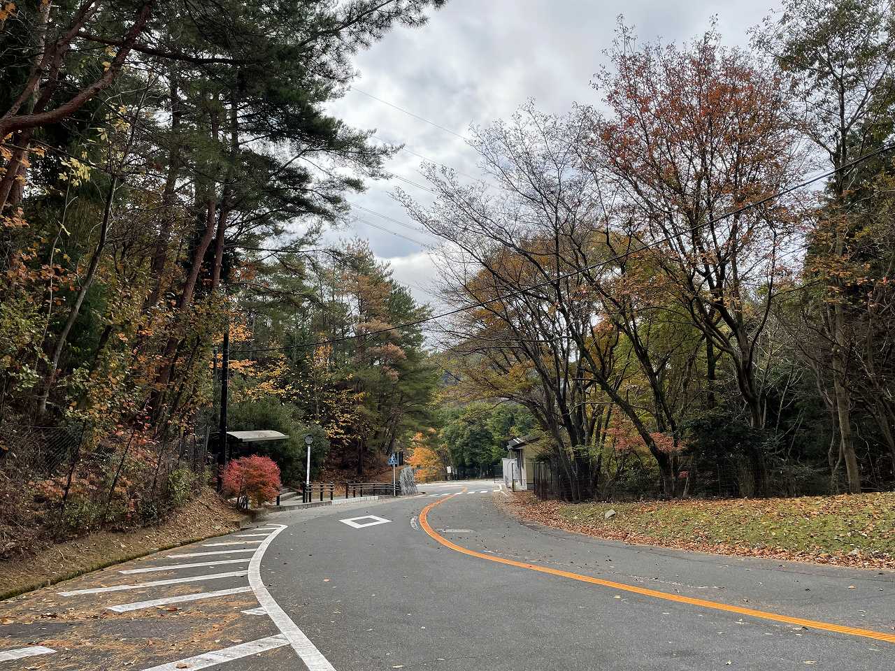 八天の森バス停風景