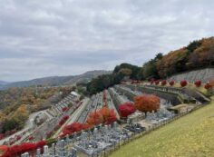 7区3番墓所上段駐車場からの風景①