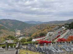 7区3番墓所上段駐車場からの風景②