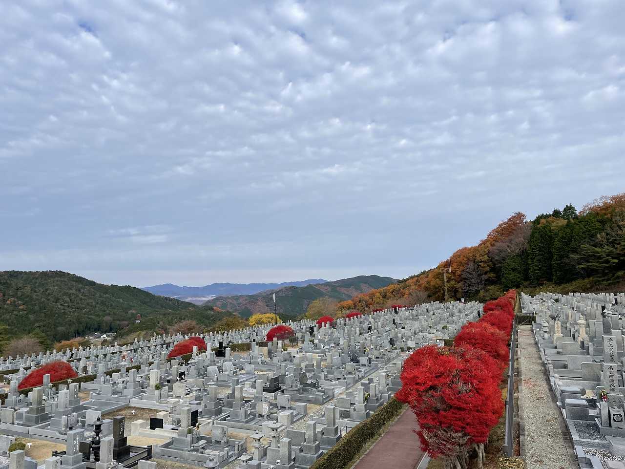 11区7番墓所から（北向）風景