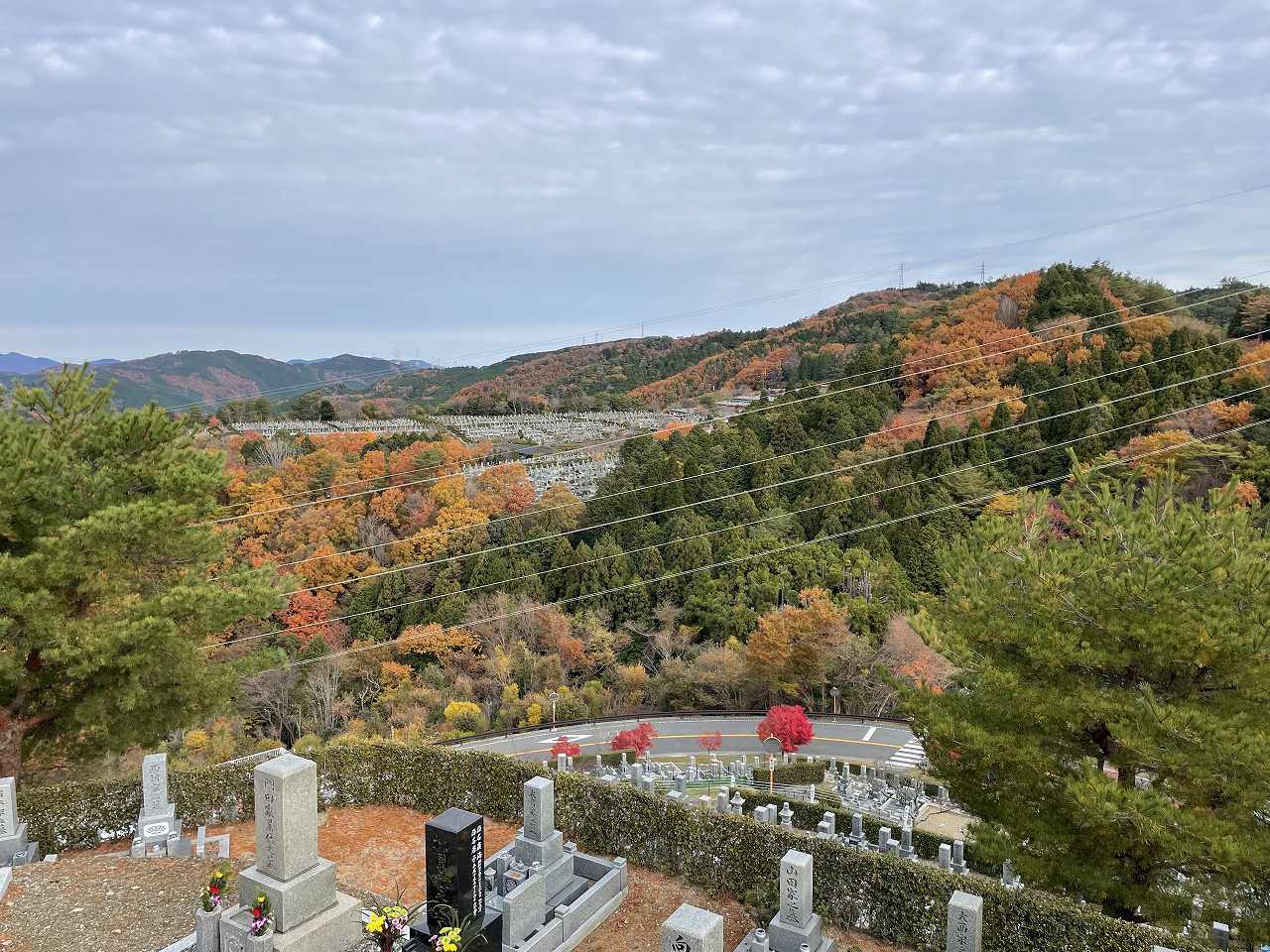 階段墓域.8区4/5番枝道から（北向）風景