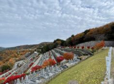 7区3番墓所上段駐車場からの風景①