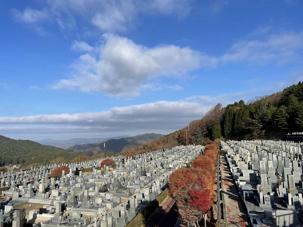 11区7番墓所から（北向き）風景