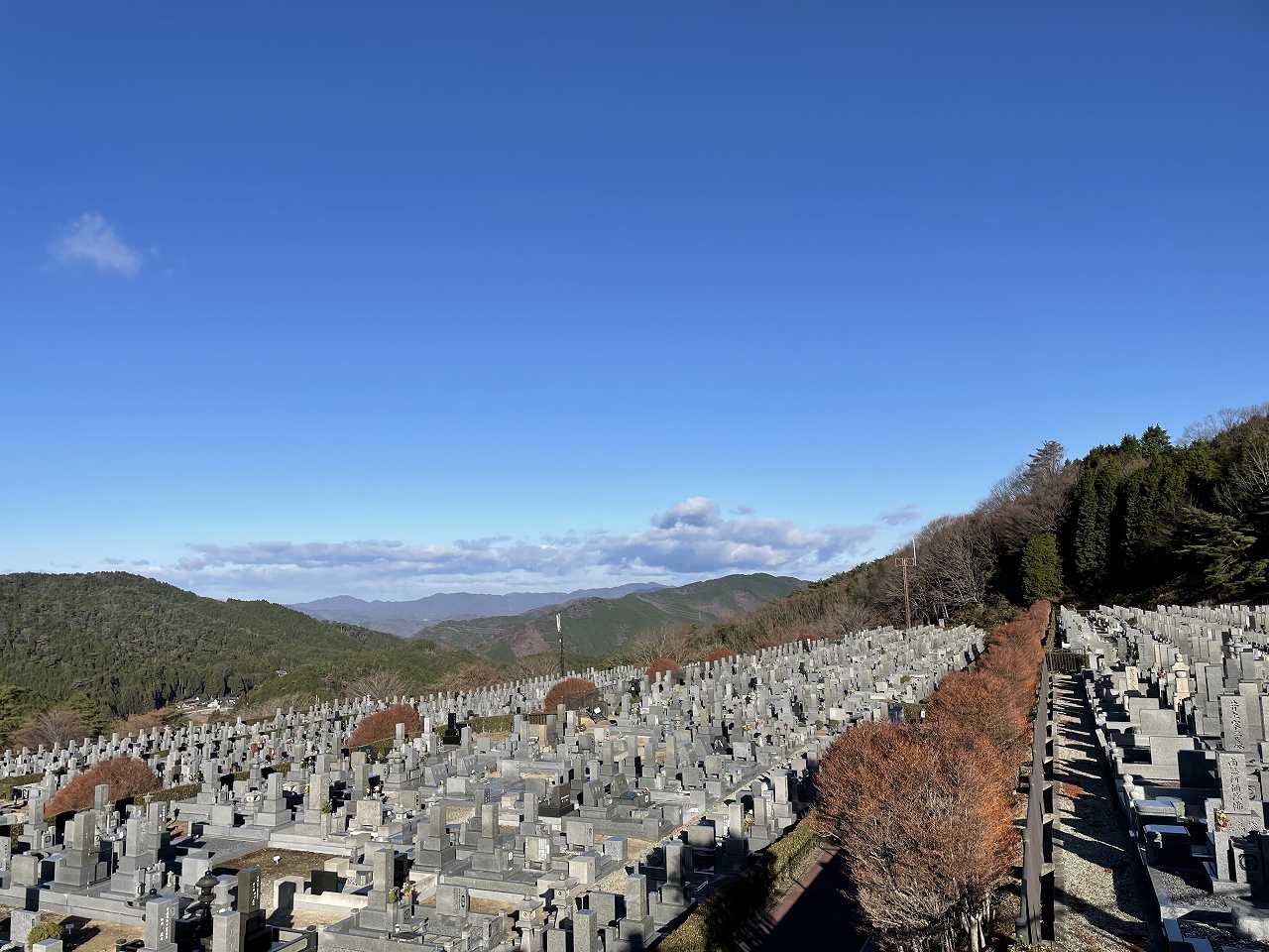 11区7番墓所から（北向き）風景