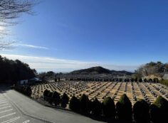 11区2番芝生墓所から（南向き）風景