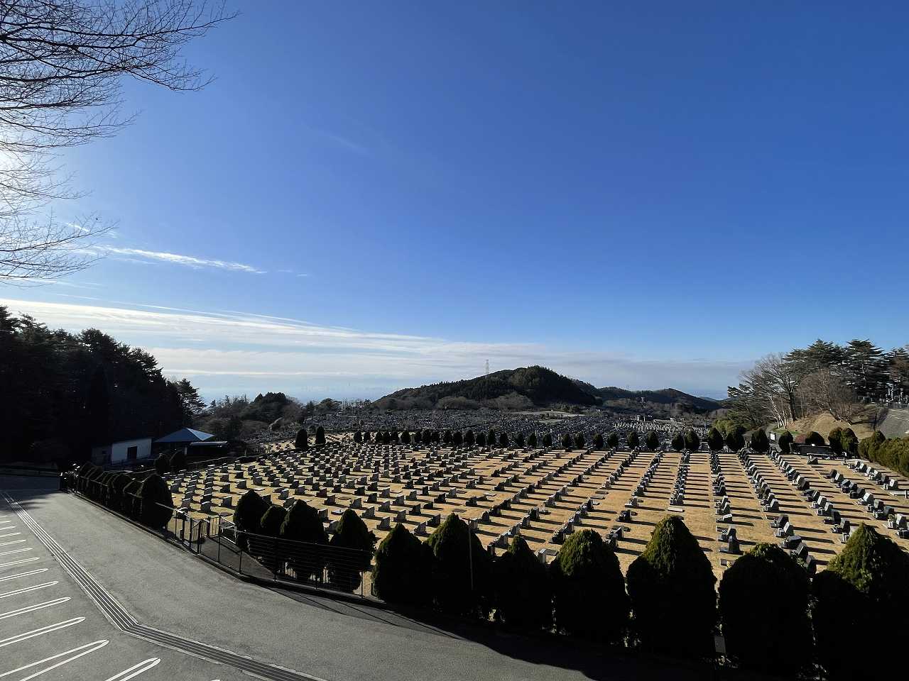 11区2番芝生墓所から（南向き）風景