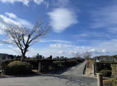 3区墓所から（南西向き）風景