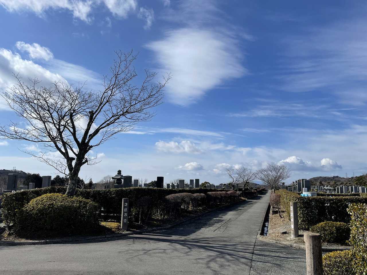 3区墓所から（南西向き）風景