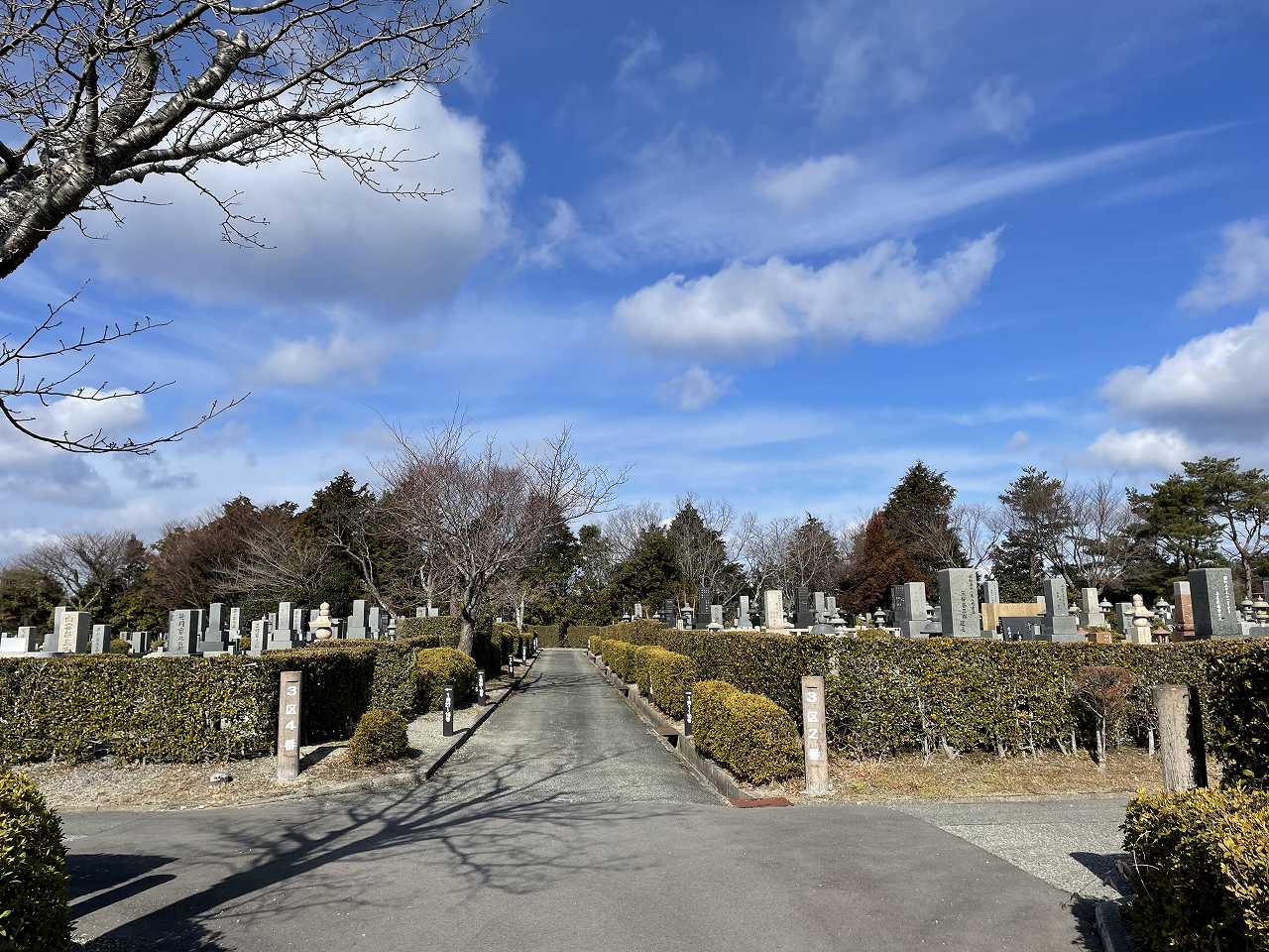 3区墓所から（北向き）風景