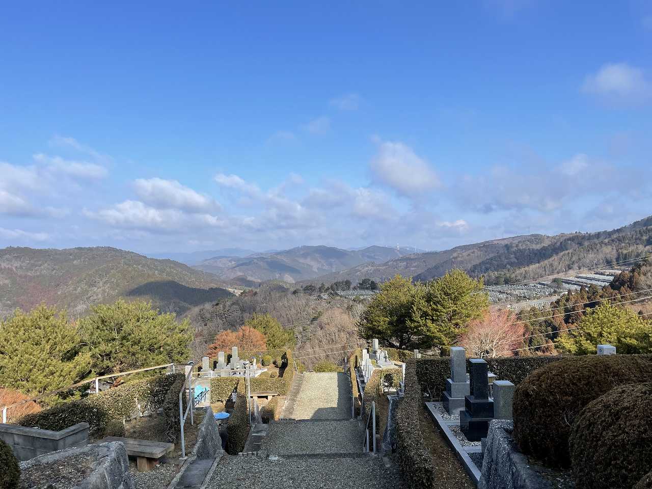 8区5番（あずま家）から園内北風景