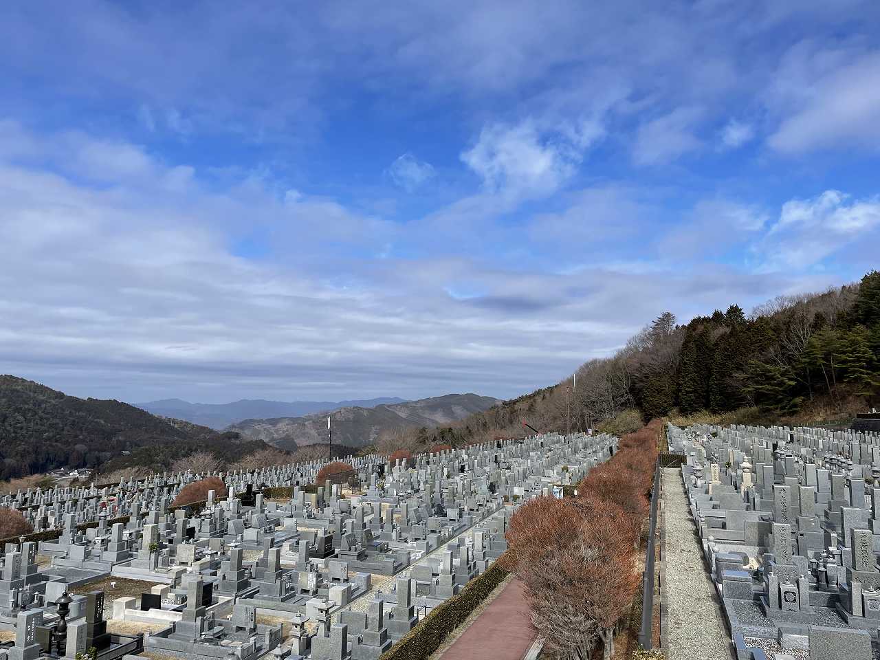 11区7番墓所から（北向き）風景