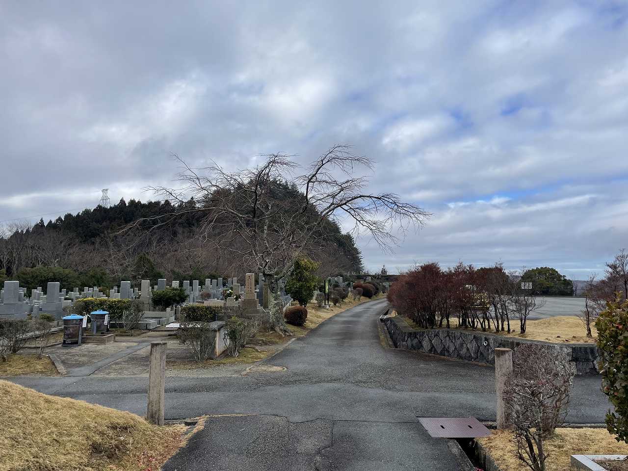 1区10番墓所-臨時駐車場（南西）風景