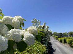 令和6年5月4日（土）