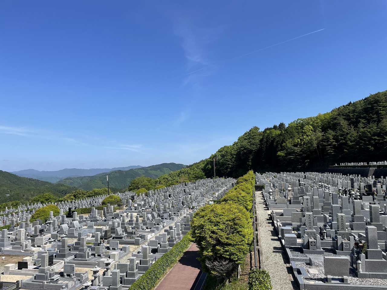 11区7番墓所から（北）風景