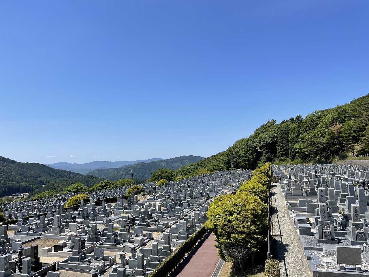 11区7番墓所から（北向き）風景