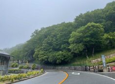 合葬式墓地・樹木葬墓地④