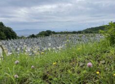 11区1番墓所から（南向き）風景