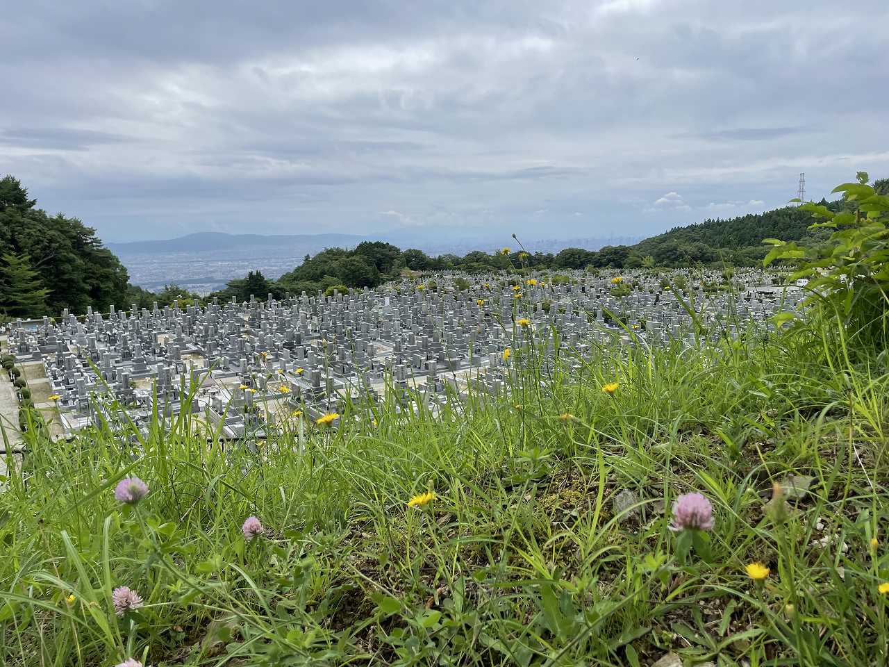 11区1番墓所から（南向き）風景