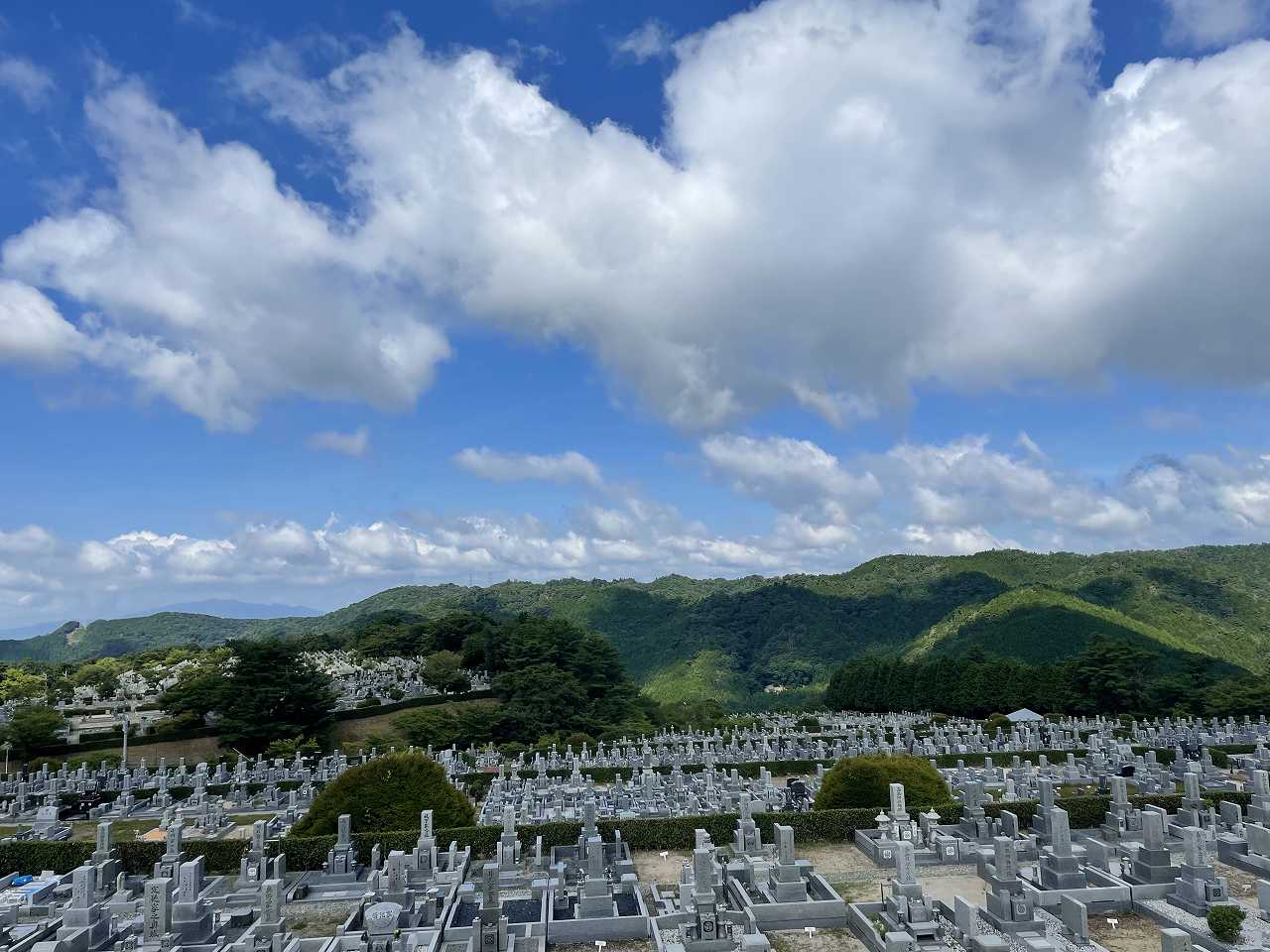 11区7番墓所から（西向き）風景