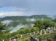 8区5番あずま屋からの風景③