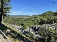 階段墓所・8区5番枝道からの風景