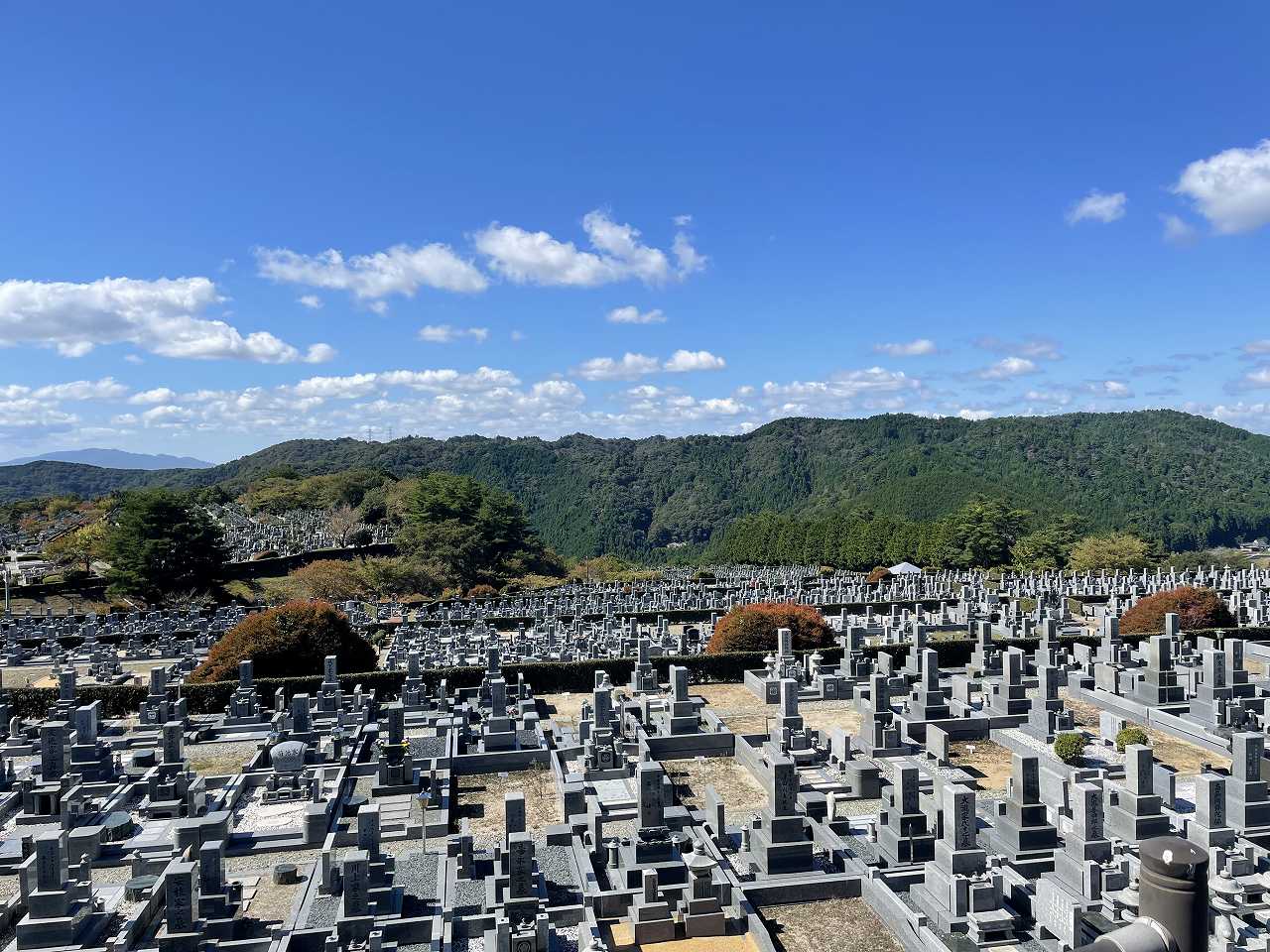 11区7番墓所から（西向き）風景