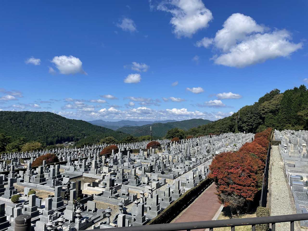 11区7番墓所から（北向き）風景