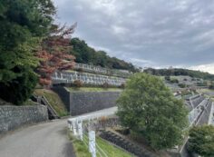 階段墓所・７区墓風景③