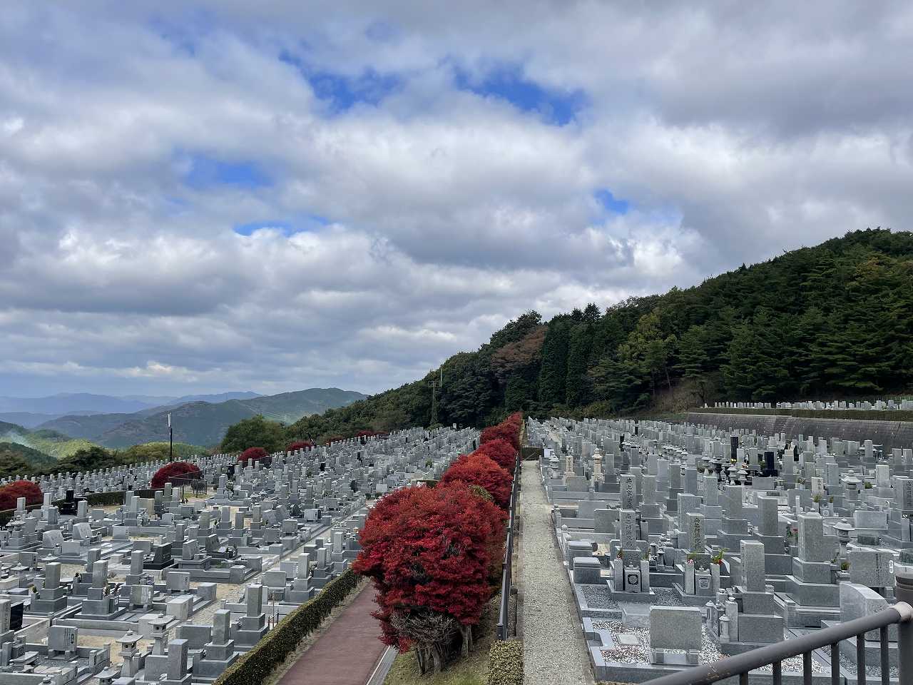 11区7番墓所から（北向き）風景